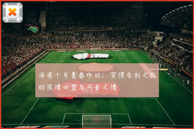 海港十年青春印记：贺惯告别之际的深情回望与不舍之情